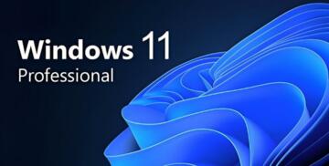 Microsoft Windows 11 Professional 